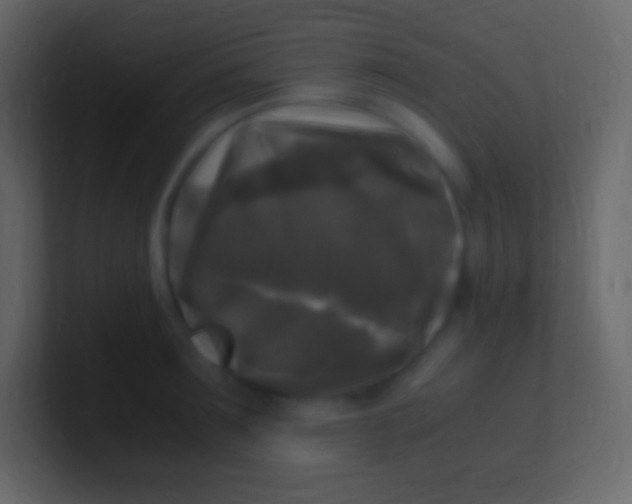 X0000100940899200807081232