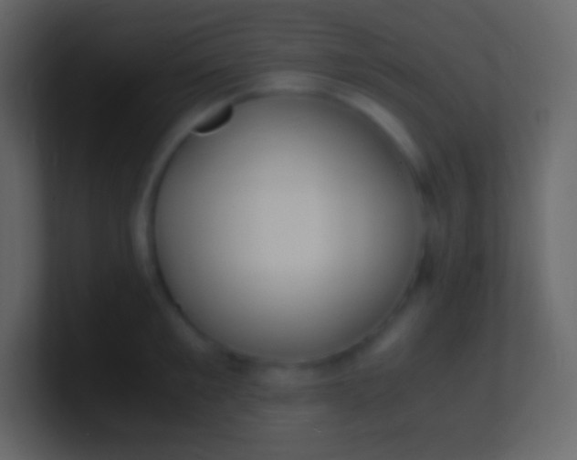 X0000100940901200807081232