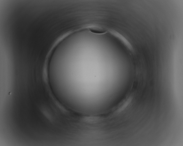 X0000100940902200807081232