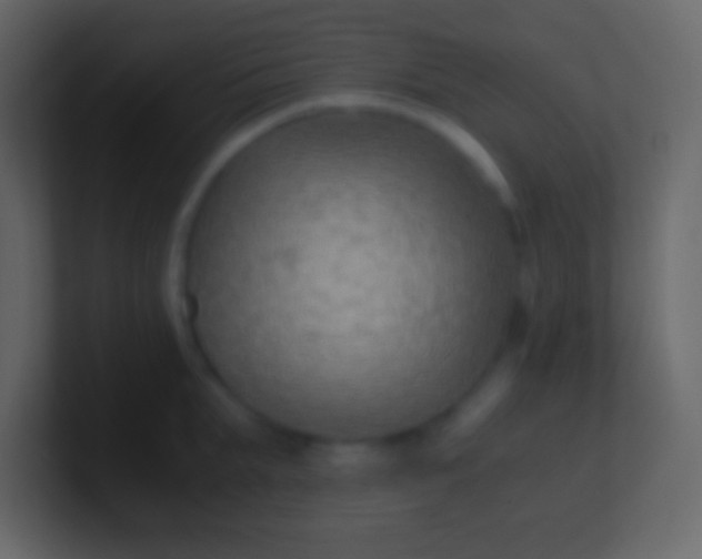 X0000100940903200807081232