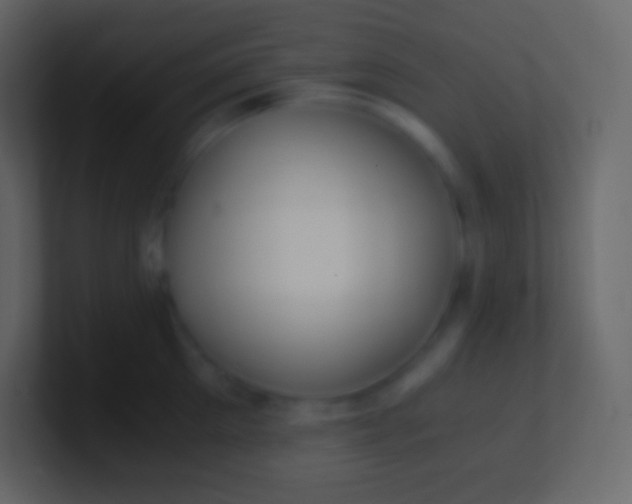 X0000100940905200807081232