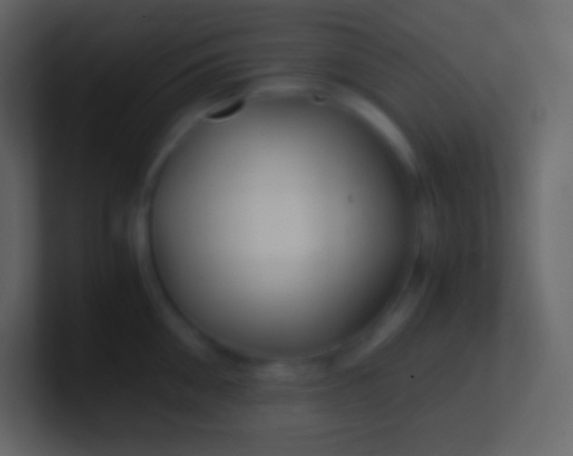 X0000100940906200807081232