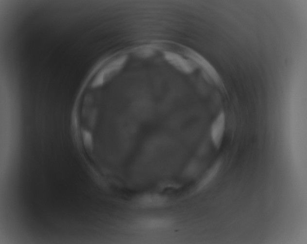 X0000100940907200807081232