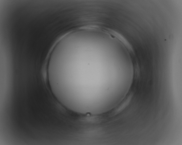 X0000100940908200807081232