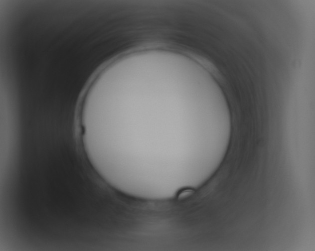 X0000100940912200807081232