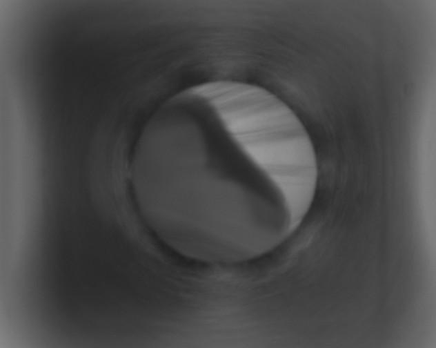 X0000100940913200807081231