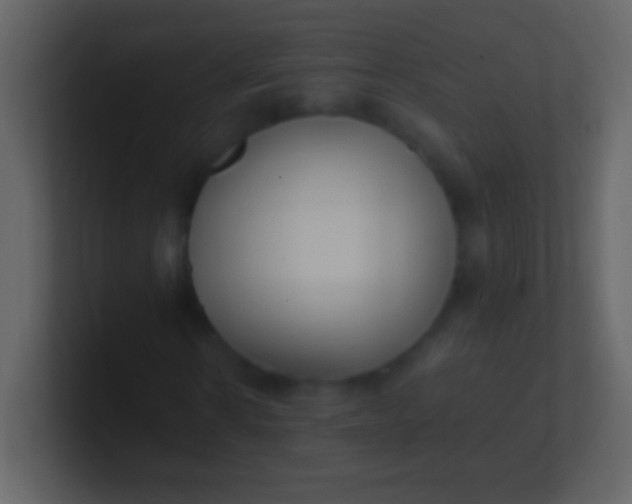 X0000100940914200807081231