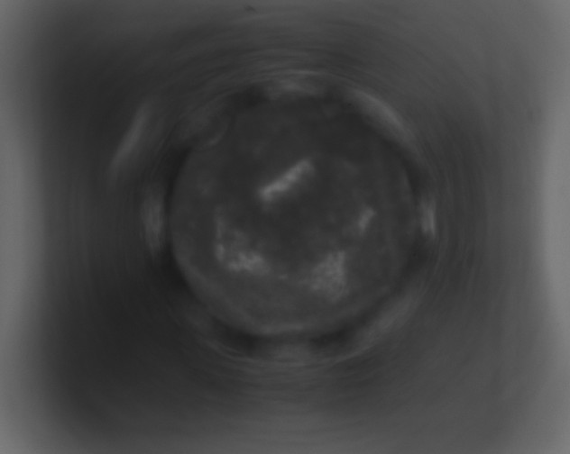 X0000100940915200807081231