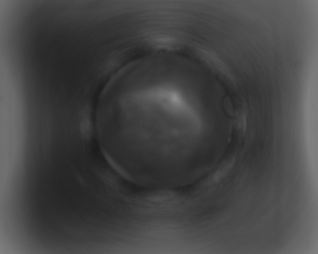 X0000100940916200807081231