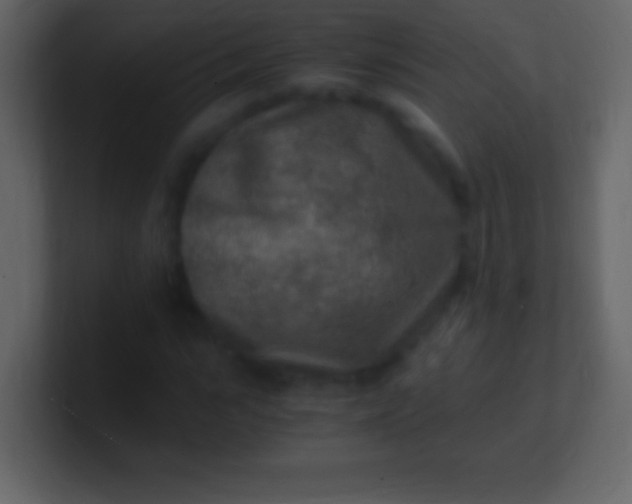 X0000100940919200807081231