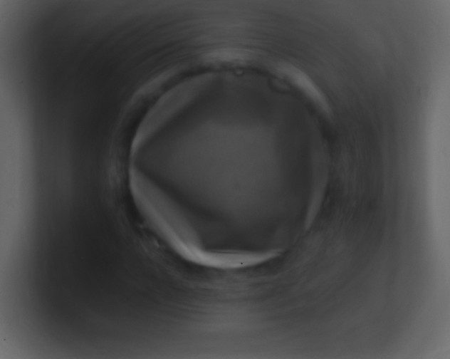 X0000100940920200807081231