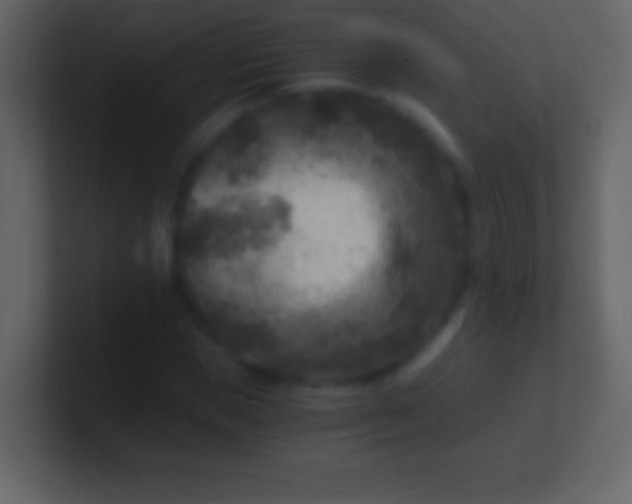 X0000100940921200807081231