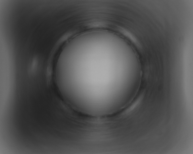 X0000100940922200807081231