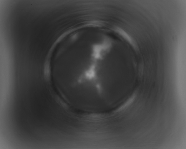 X0000100940923200807081231