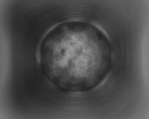 X0000100940925200807081231