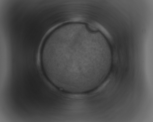 X0000100940932200807081231