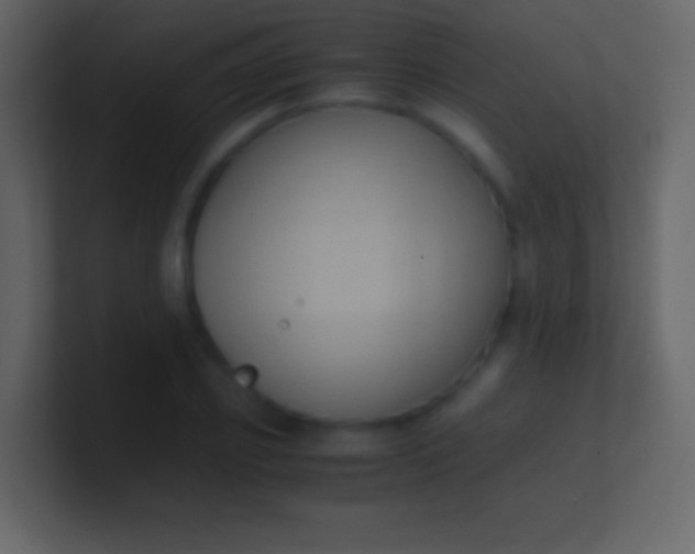 X0000100940933200807081231