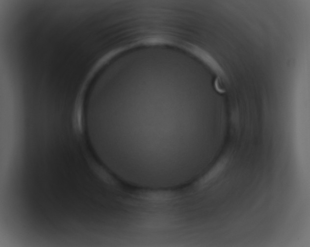 X0000100940934200807081231