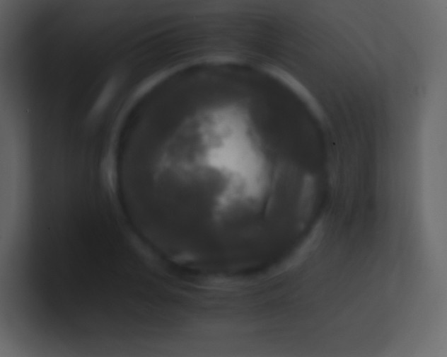 X0000100940935200807081231