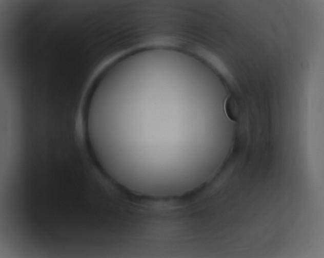 X0000100940936200807081231