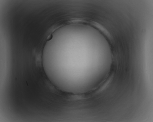 X0000100940937200807081231