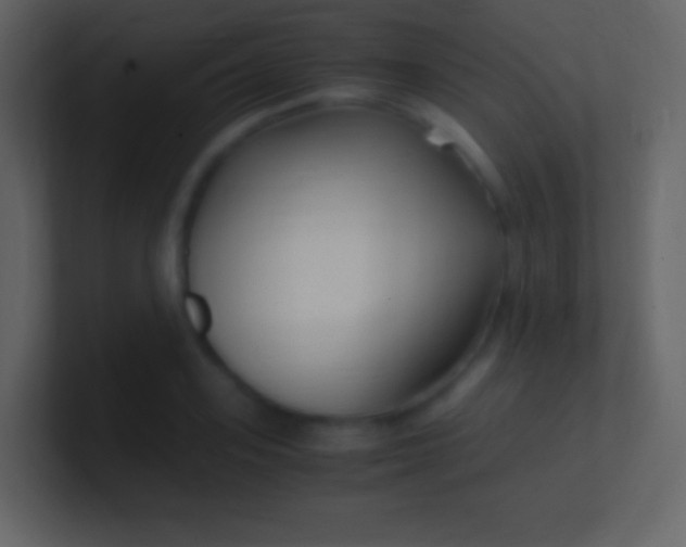 X0000100940939200807081231