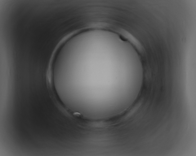 X0000100940940200807081231