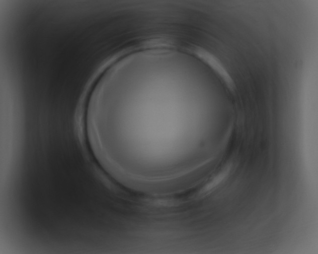 X0000100940941200807081231