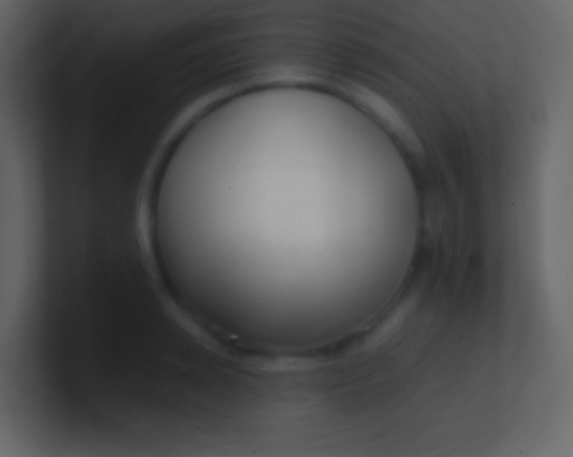 X0000100940942200807081231