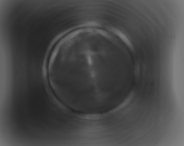 X0000100940944200807081232