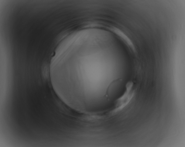 X0000100940945200807081232