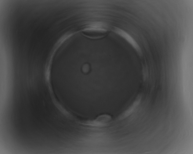 X0000100940946200807081232