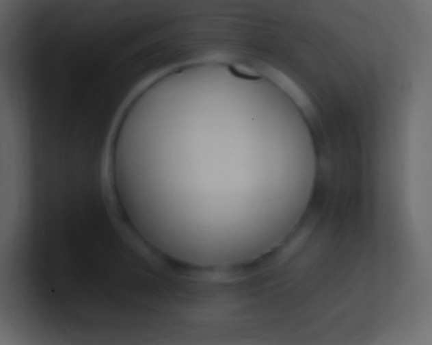 X0000100940948200807081232