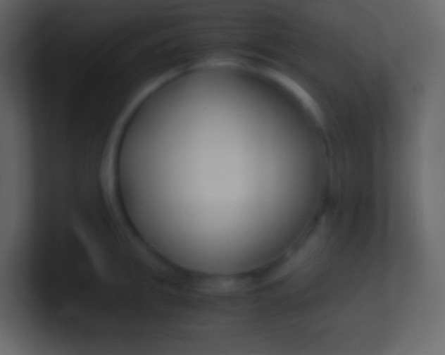 X0000100940949200807081232