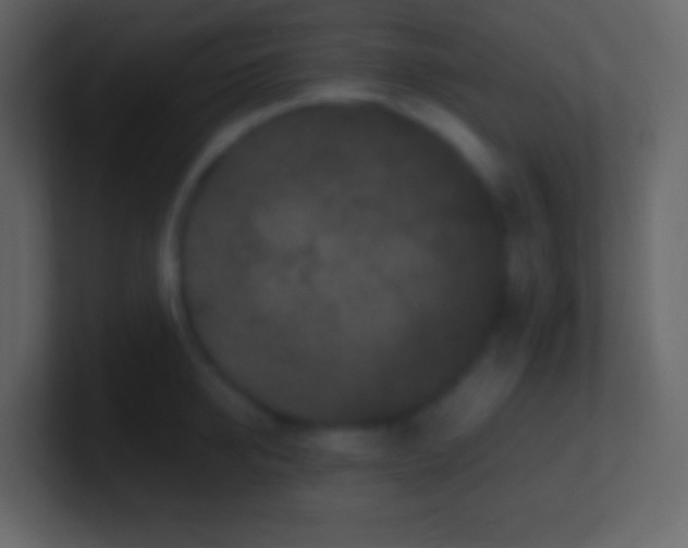 X0000100940950200807081232