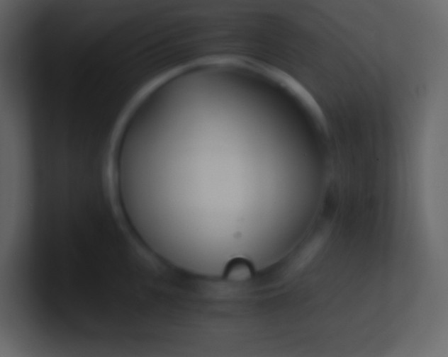 X0000100940951200807081232