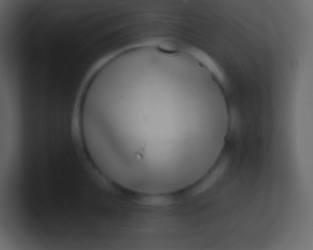 X0000100940952200807081232