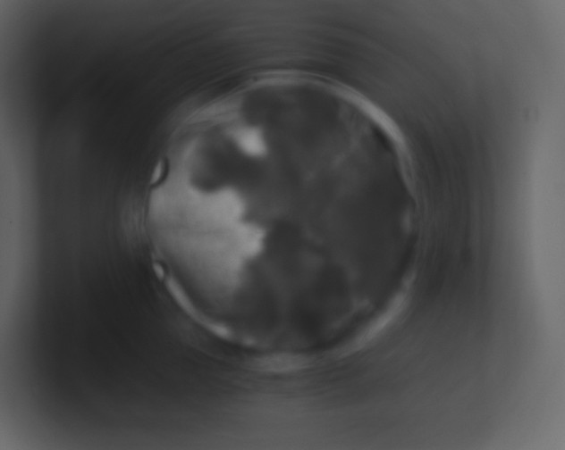 X0000100940953200807081232