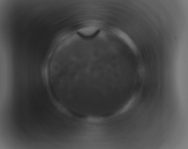 X0000100940954200807081232