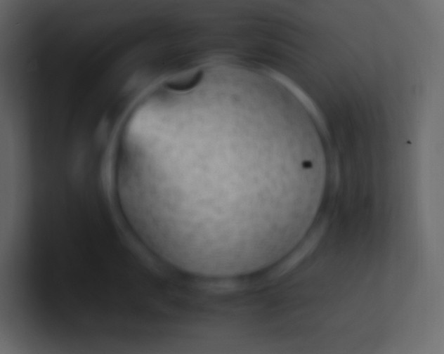 X0000100940957200807081232