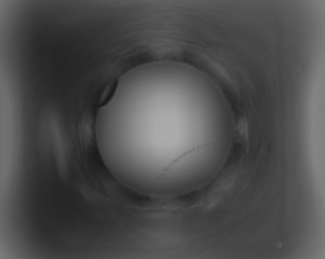 X0000100940963200807081231