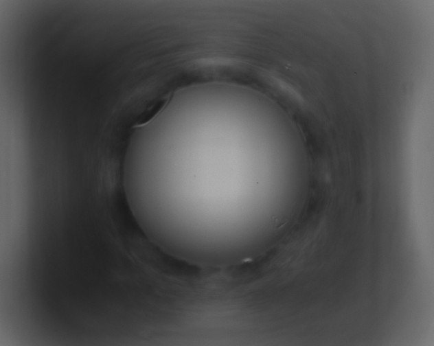 X0000100940965200807081231