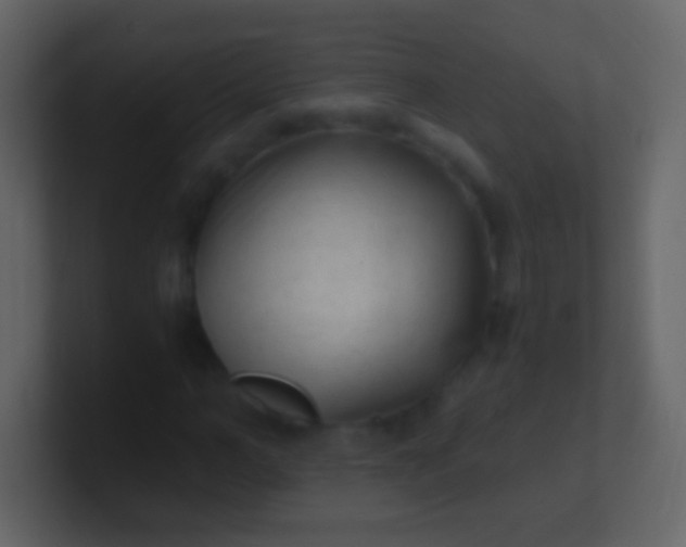 X0000100940966200807081231