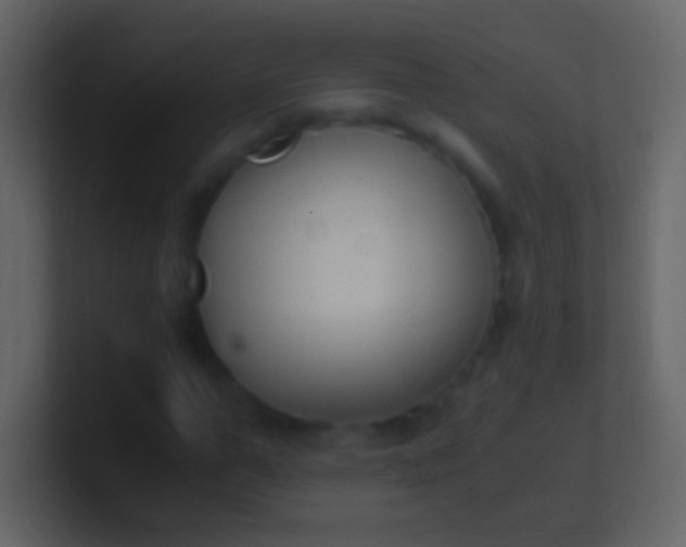 X0000100940967200807081231