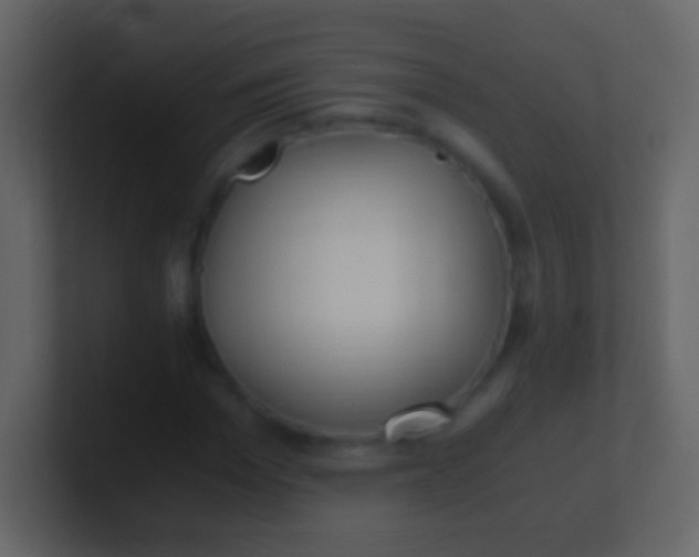 X0000100940969200807081231