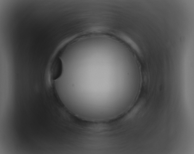 X0000100940973200807081231