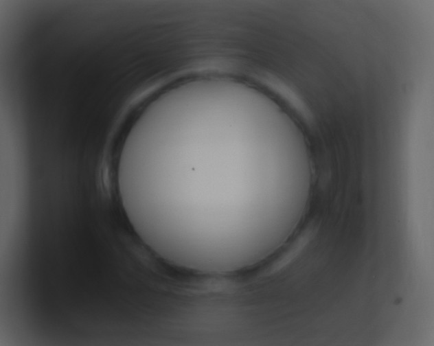 X0000100940974200807081231