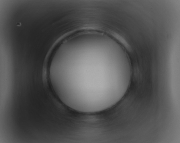 X0000100940976200807081231