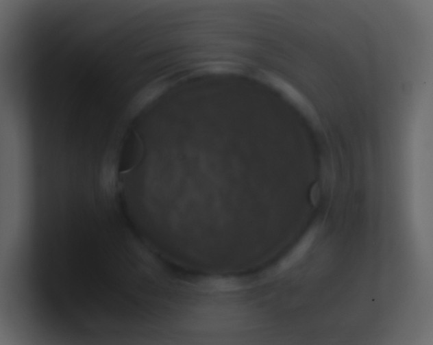 X0000100940977200807081231