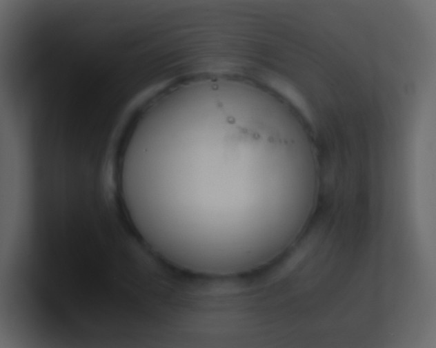 X0000100940979200807081231